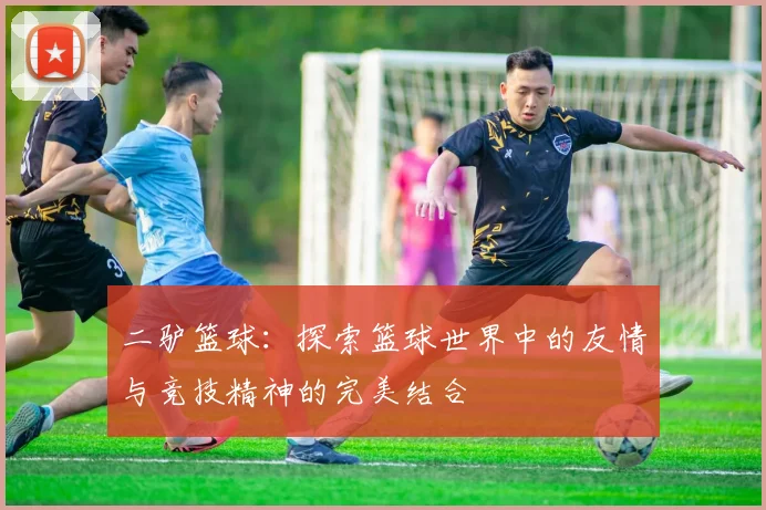 二驴篮球：探索篮球世界中的友情与竞技精神的完美结合