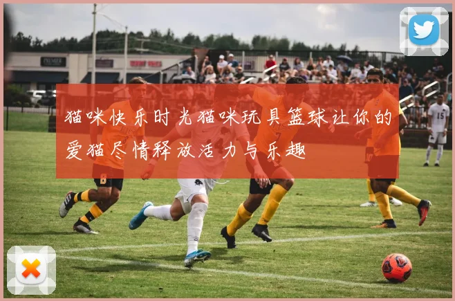 猫咪快乐时光猫咪玩具篮球让你的爱猫尽情释放活力与乐趣