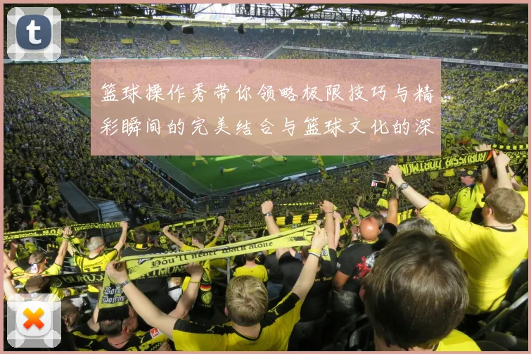 篮球操作秀带你领略极限技巧与精彩瞬间的完美结合与篮球文化的深度探索