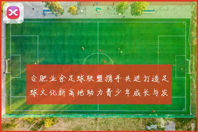 合肥业余足球联盟携手共进打造足球文化新高地助力青少年成长与发展
