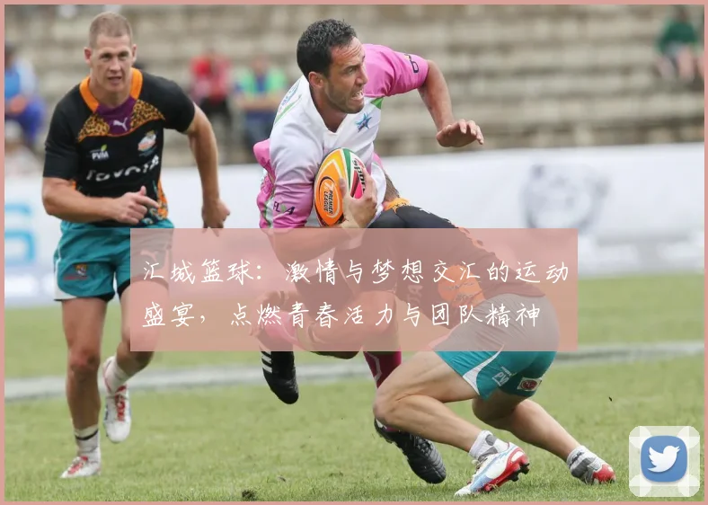 汇城篮球：激情与梦想交汇的运动盛宴，点燃青春活力与团队精神