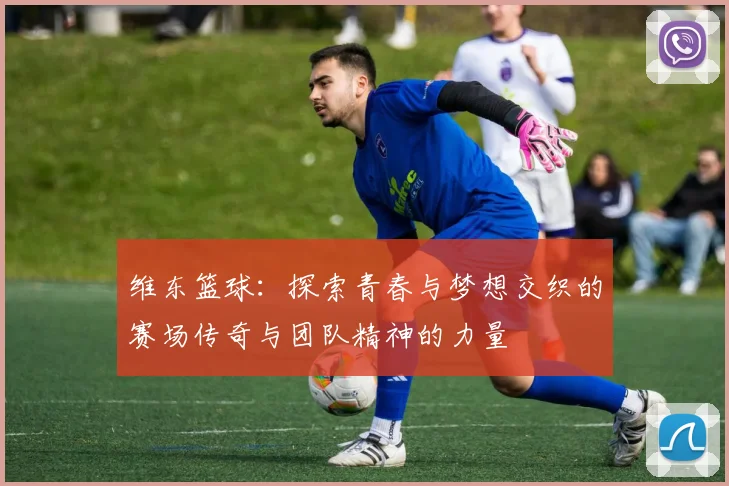 维东篮球：探索青春与梦想交织的赛场传奇与团队精神的力量