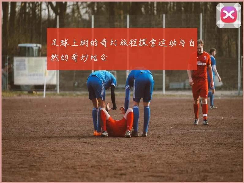 足球上树的奇幻旅程探索运动与自然的奇妙结合