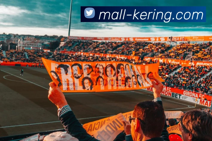 开云最新版本品牌故事