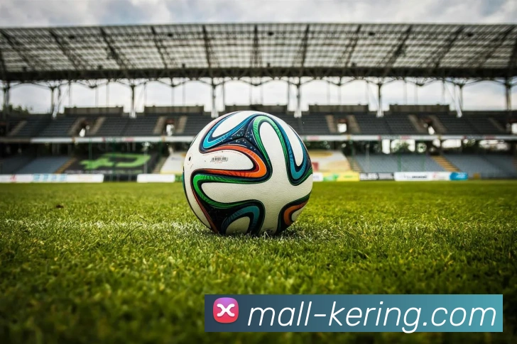 开云最新版本服务体系